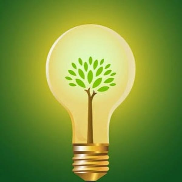 Eco-Emprendimiento o Emprendimiento Verde